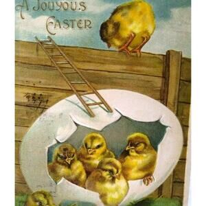 Easter Postcard Fantasy Baby Chicks Ladder Fence Cracked Egg Vintage Embossed